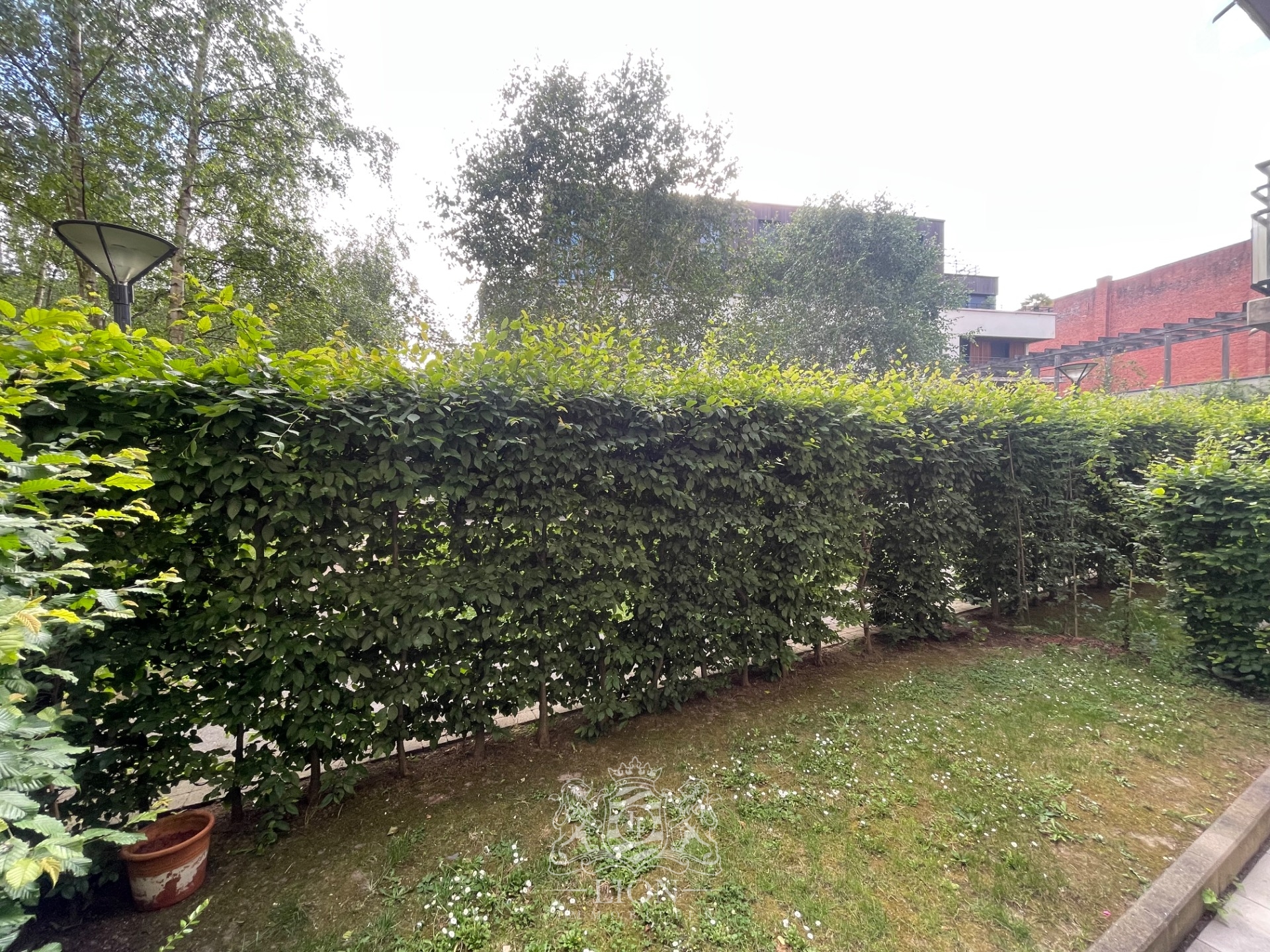 Vieux lille t3 avec parking et jardin Photo 3 - Le Lion Immobilier Vieux lille t3 avec parking et jardin Photo 3 - Le Lion Immobilier
