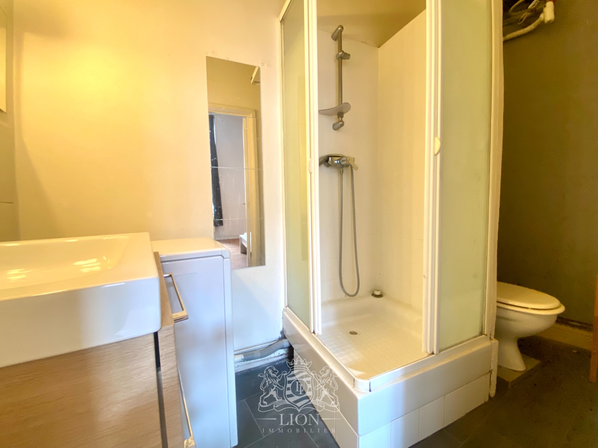 Vieux lille grand studio proche louise de bettignies Photo 7 - Le Lion Immobilier Vieux lille grand studio proche louise de bettignies Photo 7 - Le Lion Immobilier