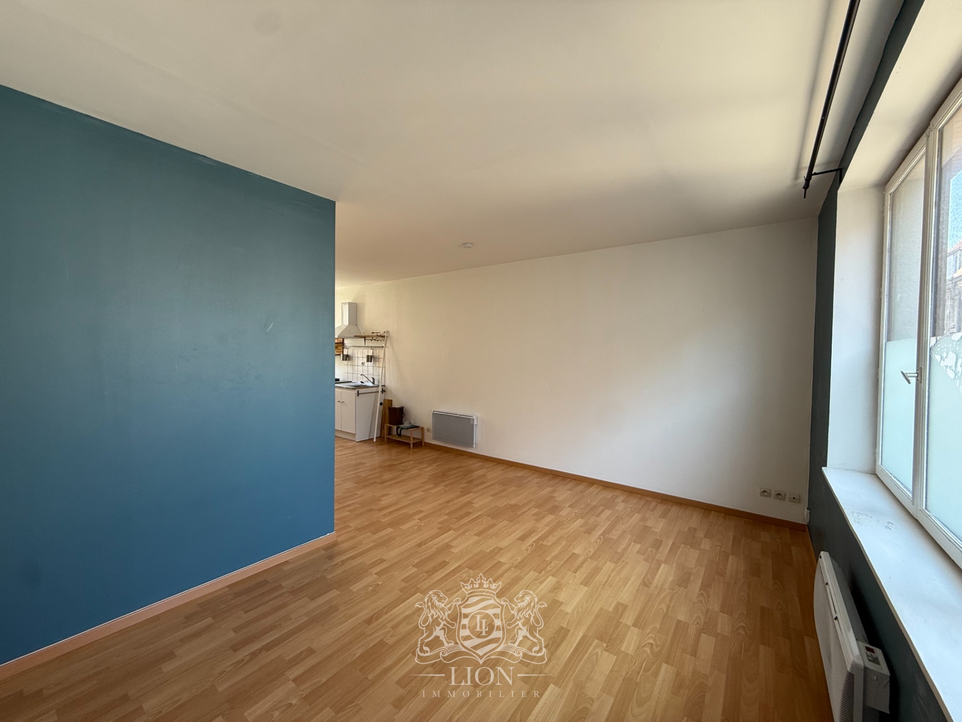 Plv vieux lille studio non meuble Photo 7 - Le Lion Immobilier Plv vieux lille studio non meuble Photo 7 - Le Lion Immobilier