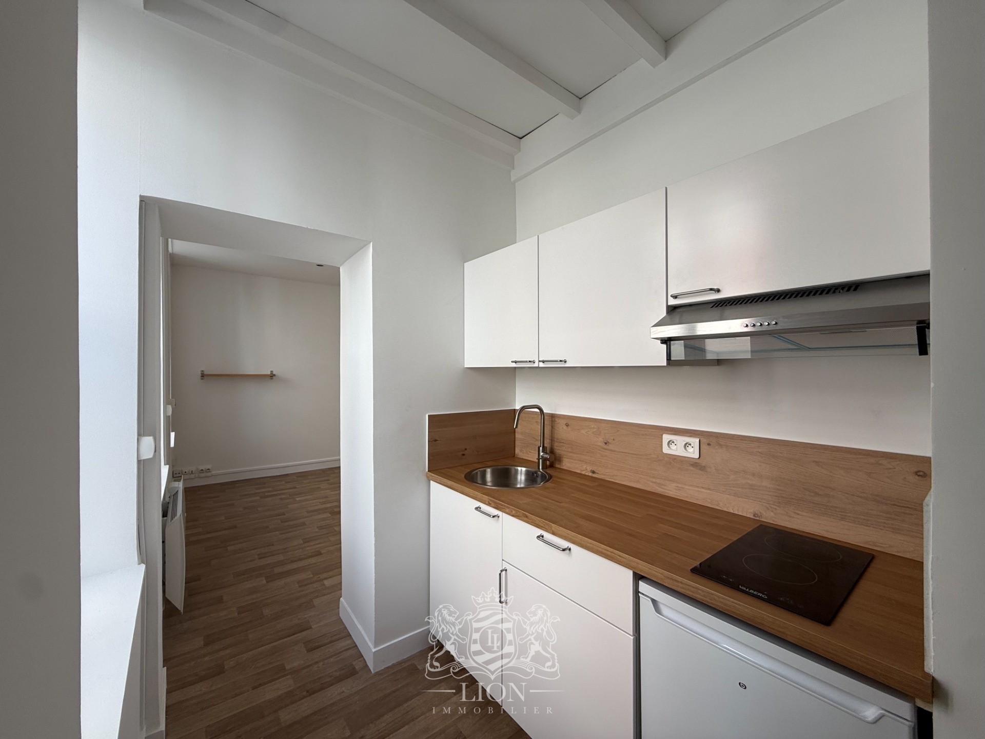 Avfs lille centre studio non meuble Photo 3 - Le Lion Immobilier Avfs lille centre studio non meuble Photo 3 - Le Lion Immobilier