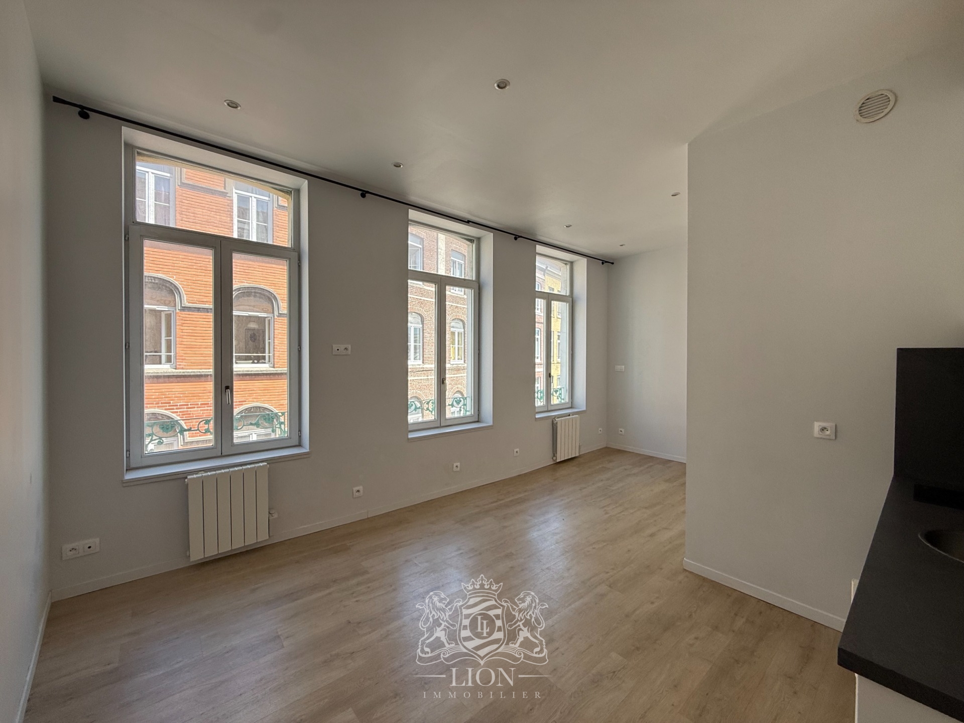 Avft lille centre studio Photo 4 - Le Lion Immobilier Avft lille centre studio Photo 4 - Le Lion Immobilier