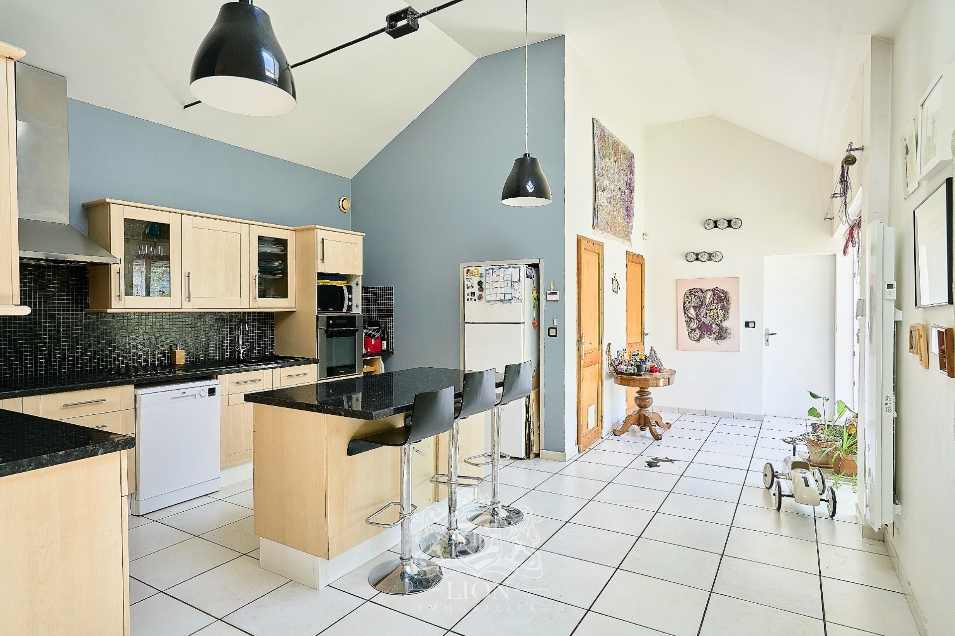 Appartement esprit loft avec garage et studio Photo 5 - Le Lion Immobilier