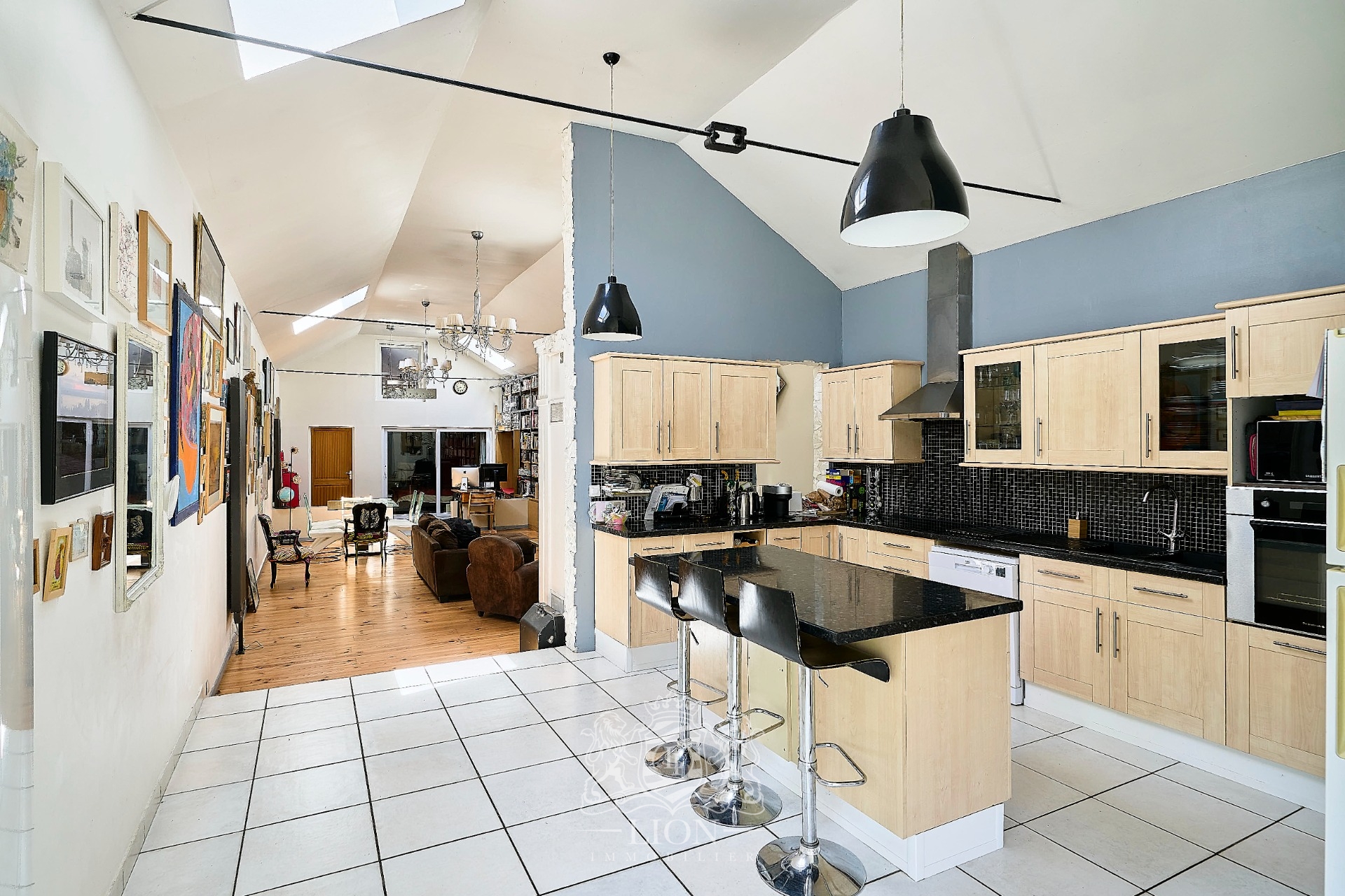 Appartement esprit loft avec garage et studio Photo 6 - Le Lion Immobilier