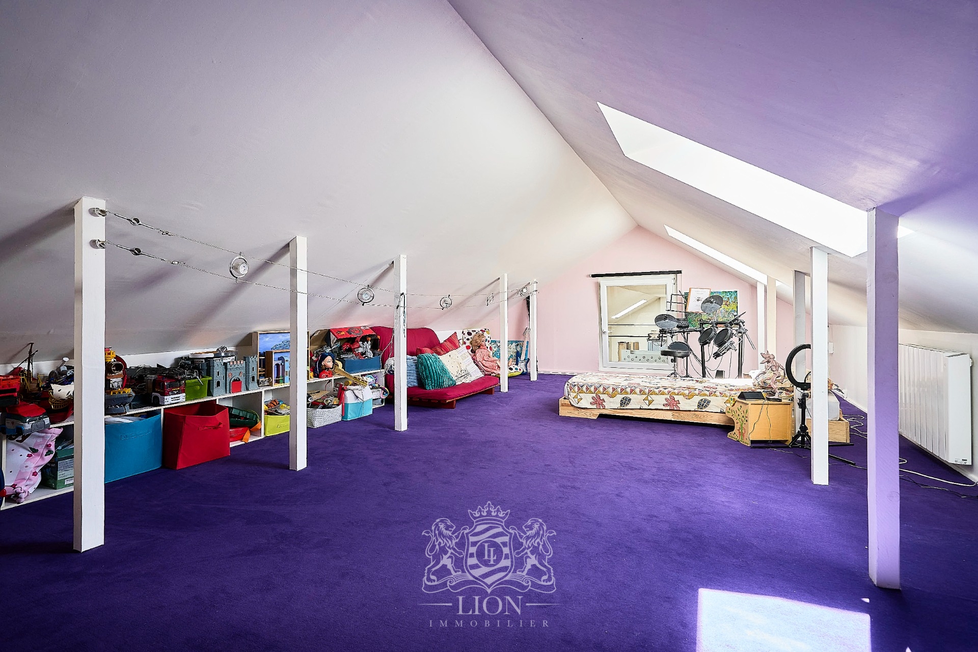 Appartement esprit loft avec garage et studio Photo 10 - Le Lion Immobilier