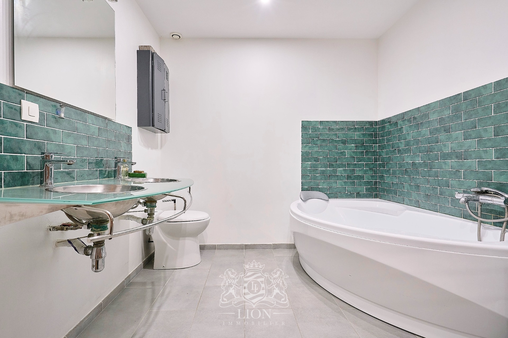 Appartement esprit loft avec garage et studio Photo 14 - Le Lion Immobilier