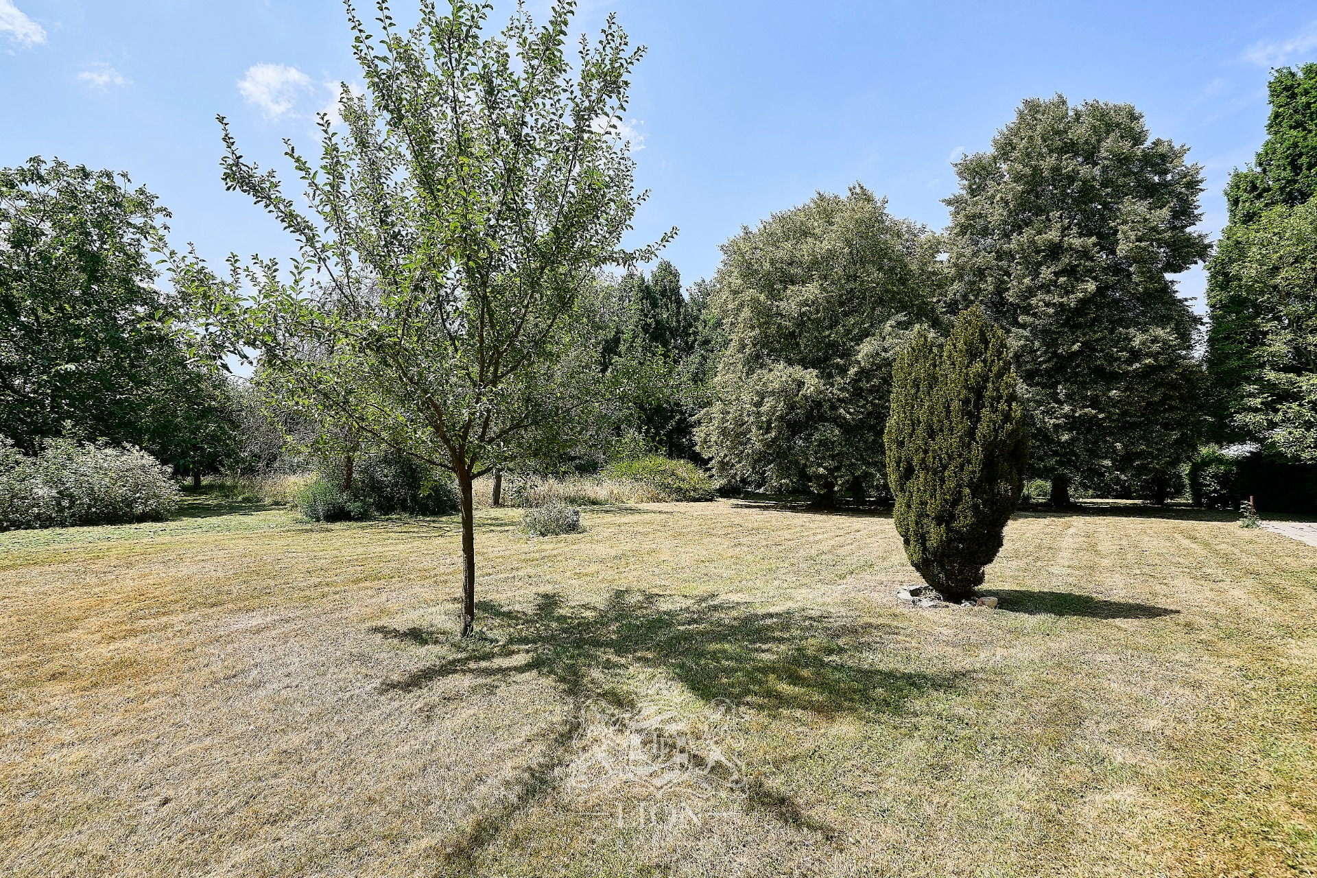 Belle individuelle sur une parcelle de pres de 5200 m2 Photo 5 - Le Lion Immobilier Belle individuelle sur une parcelle de pres de 5200 m2 Photo 5 - Le Lion Immobilier