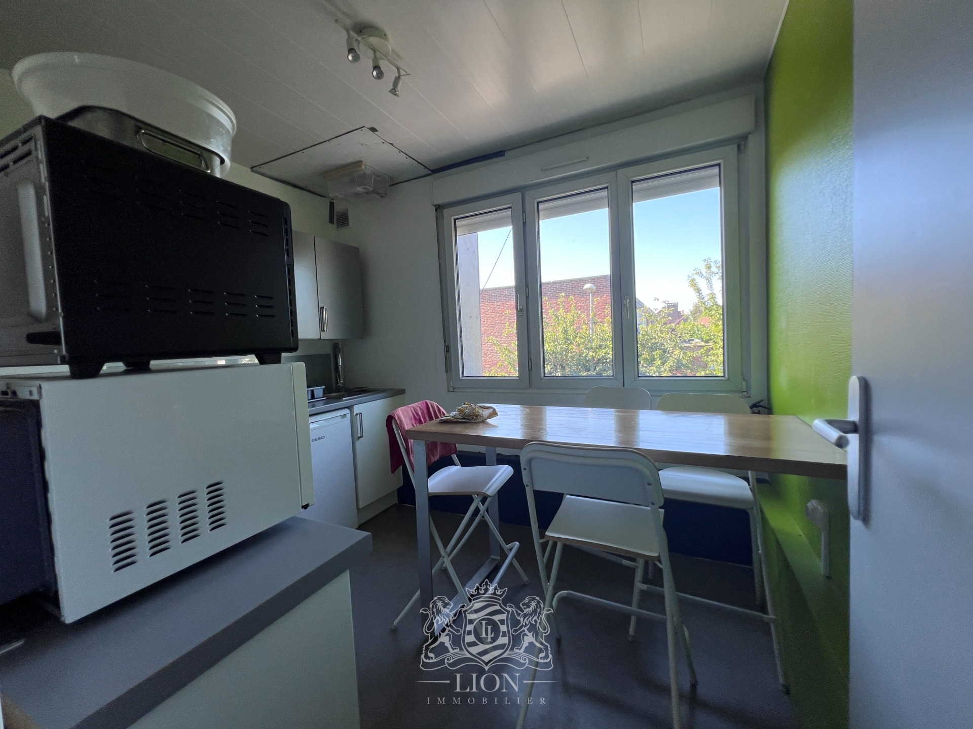Immeuble de rapport villeneuve d ascq 6 chambres   2 studios Photo 2 - Le Lion Immobilier