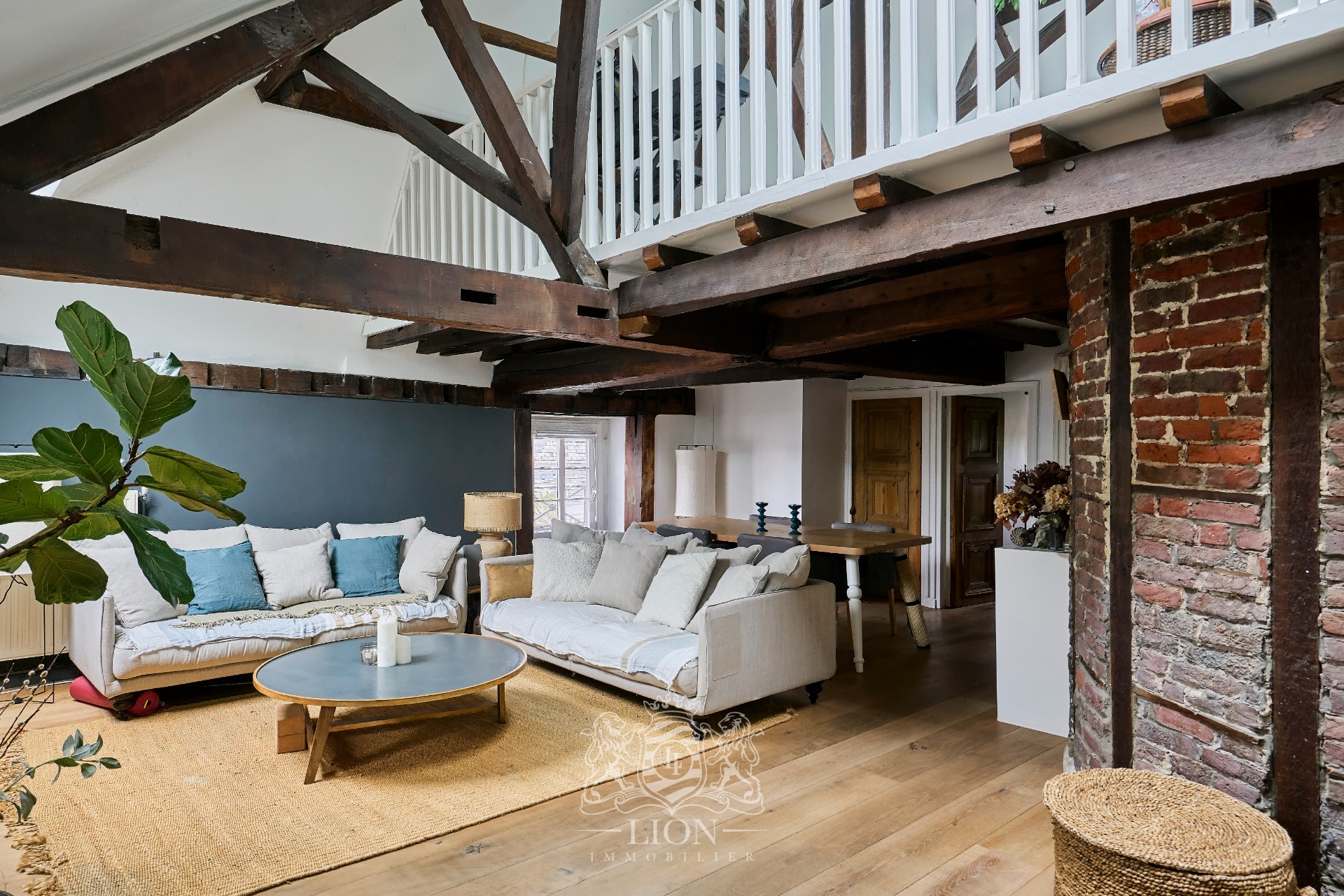 Avoq vieux lille t2 bis meuble Photo 1 - Le Lion Immobilier Avoq vieux lille t2 bis meuble Photo 1 - Le Lion Immobilier