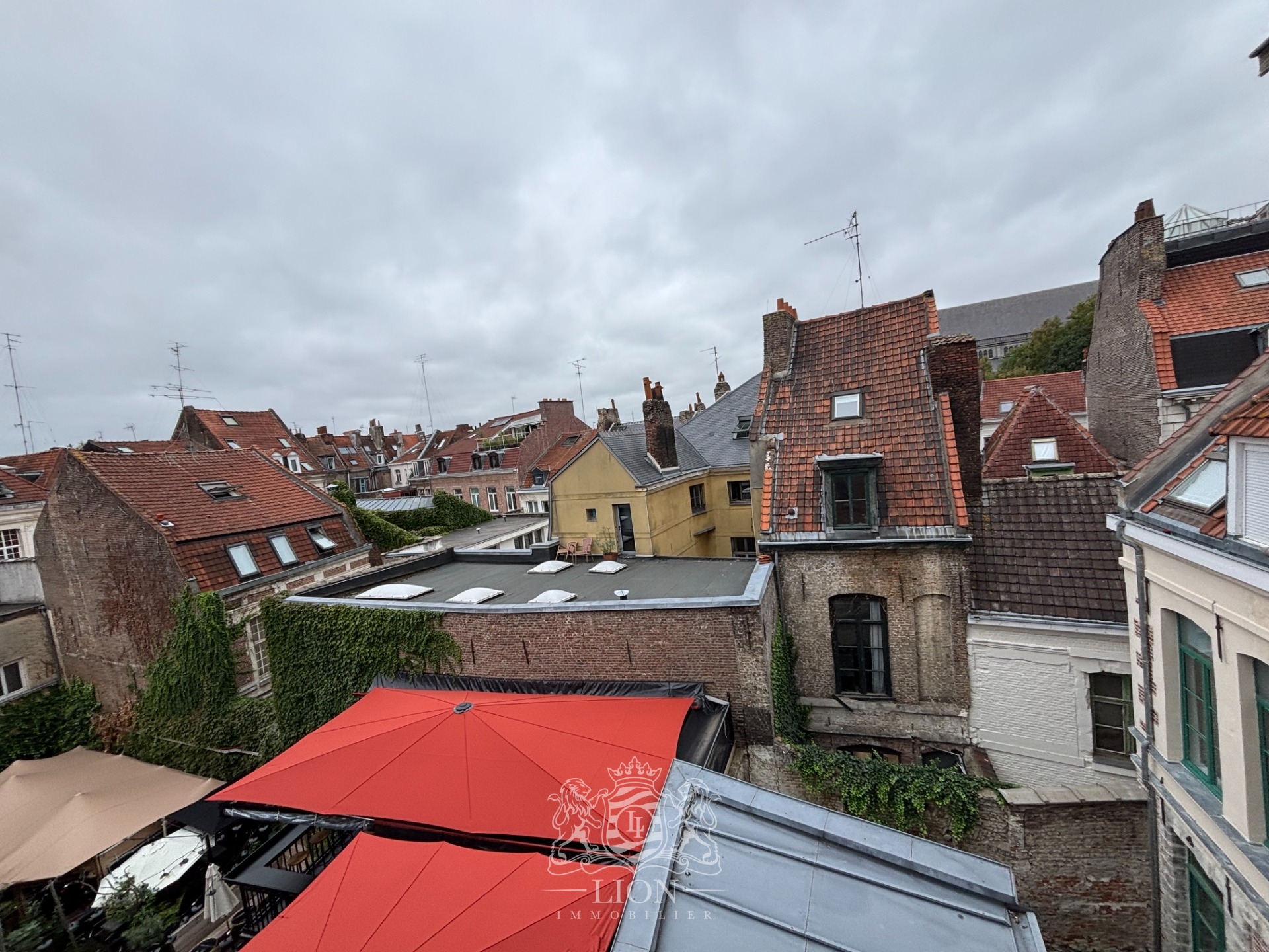 Vieux lille appartement t2 Photo 9 - Le Lion Immobilier Vieux lille appartement t2 Photo 9 - Le Lion Immobilier