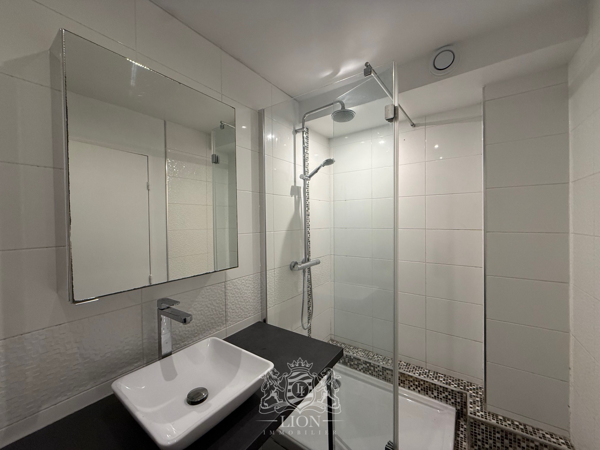 Ipx vieux lille type 4 meuble Photo 14 - Le Lion Immobilier