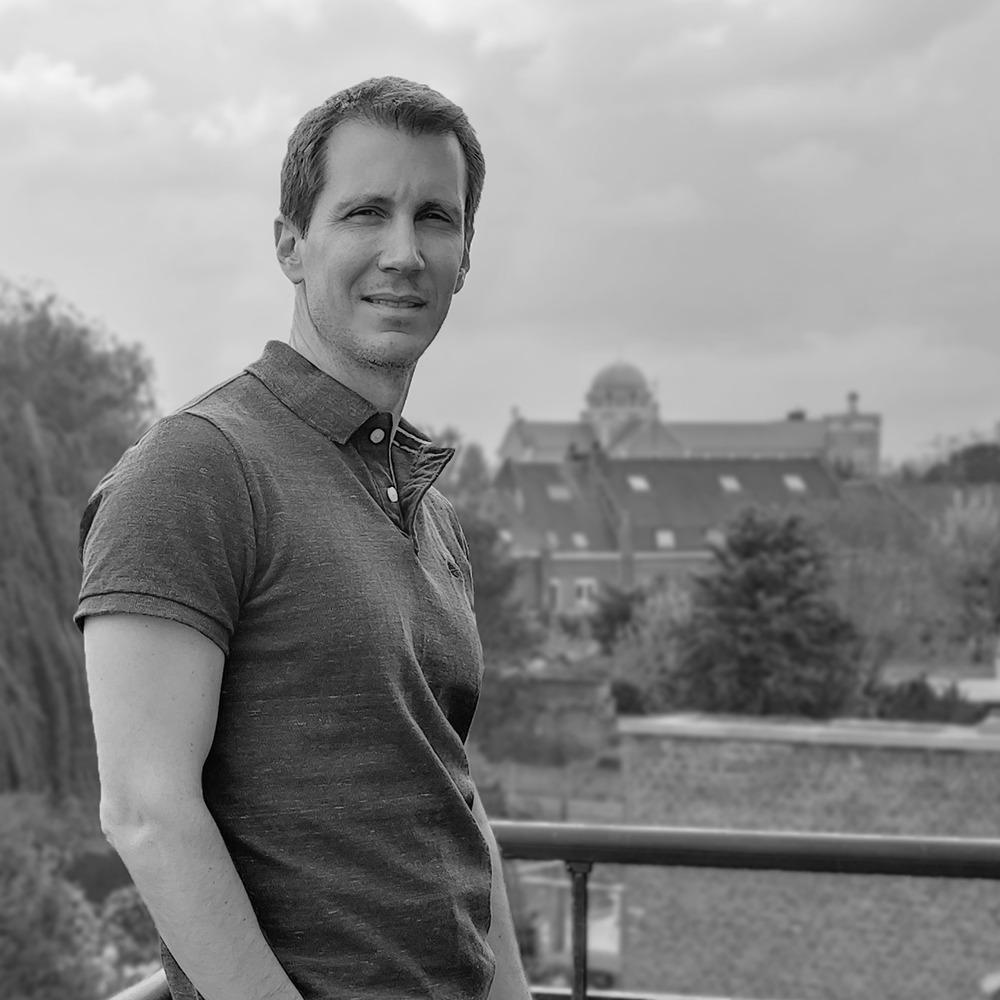 Sylvain DEPRE DUBOIS - Responsable des systèmes d'information - Le Lion Immobilier